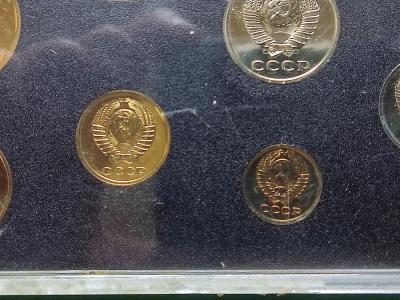 1686312601033 (Копировать).jpg