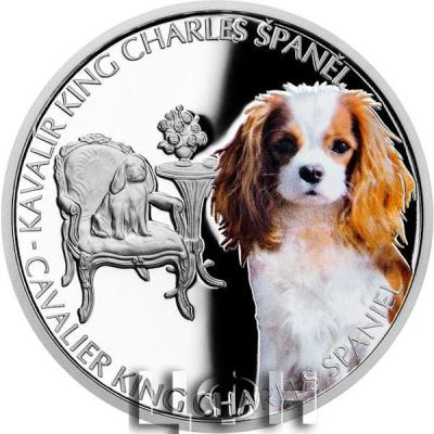 «Cavalier King Charles Spaniel».jpg