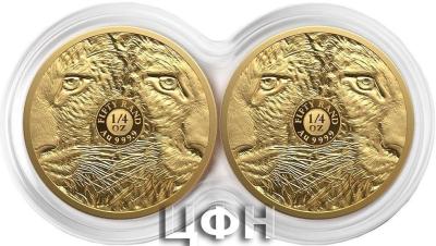 «LEOPARD - SET - BIG FIVE II DOUBLE CAPSULE SERIES (4.) ».jpg