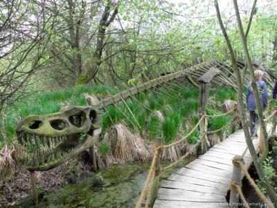 furth-im-wald-wildgarten-naturerlebnispfad-abenteuer-dinosaurierskelett-850.thumb.jpg.4f8210c5715344e66f23b393ac840f45.jpg