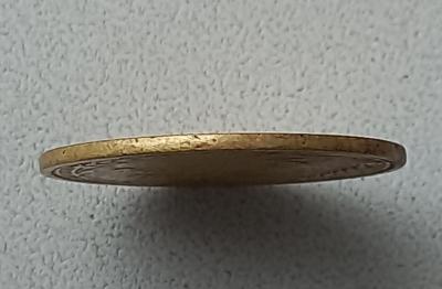 20230711_110542.jpg