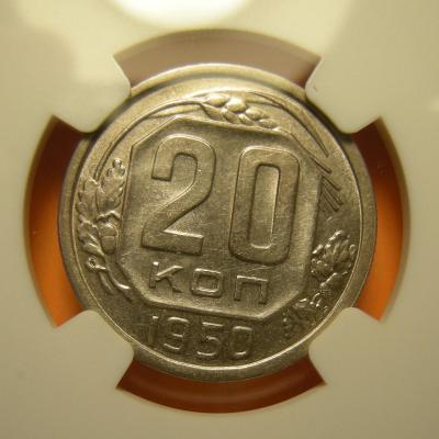 DSCN1471.JPG