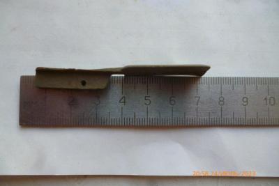 P1100032 (Medium).JPG