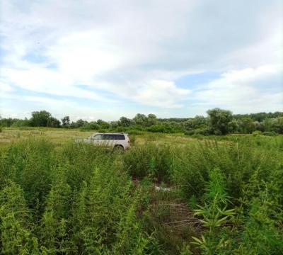 IMG_20230725_192337_875.jpg