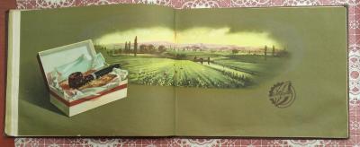 IMG-1e6c406b7f6a3f490ece03add81bcbf9-V.jpg