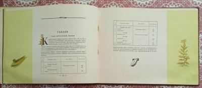 IMG-41e239ecc2e1b5d894d902c376a8d633-V.jpg
