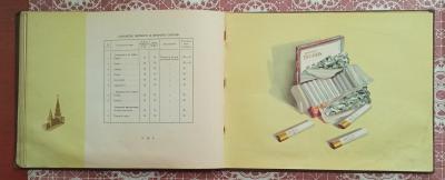 IMG-840ded8030a9fb8a88267388222645e9-V.jpg
