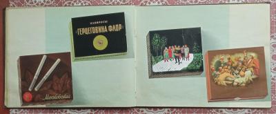 IMG-ec77bf34a8b217fa102a2beec6d856ae-V.jpg