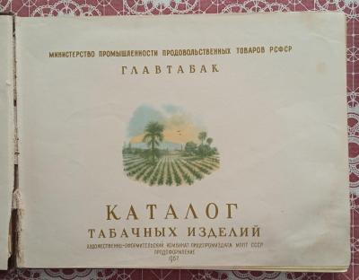 IMG-fce73a89849ce4707f92de9cba09ebae-V.jpg