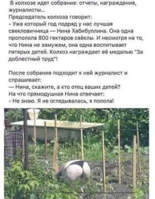 IMG_2190.jpeg