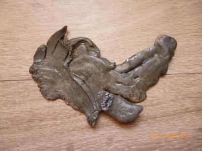 P1100052 (Medium).JPG