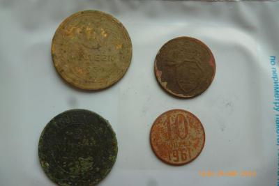 P1100057 (Medium).JPG