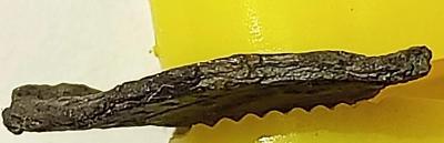 nue90ryrvxe.thumb.jpg.5bccb91a523e67a3c23a037a1084118e.jpg