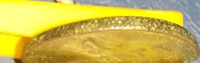 cm230902-182700001.thumb.jpg.58c7d29b8d04875608d2d73355bb32b7.jpg