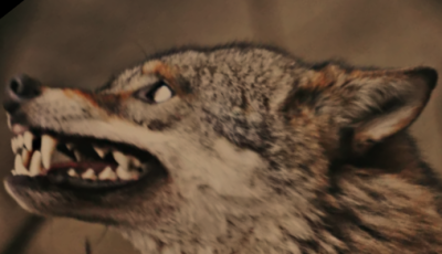 Screenshot_20230908-130019~2.png