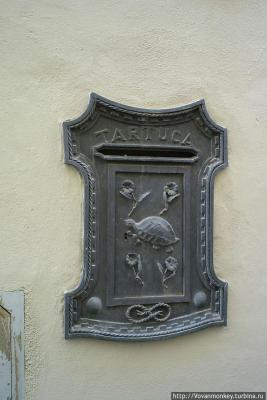 17-kontrad-sieny.thumb.jpg.877480abbba0ce42079d148282f20c6c.jpg