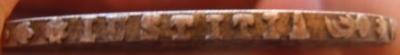 20140115_thaler2dl.jpg