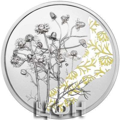 «Silver Coin THE CHAMOMILE PROOF».jpg