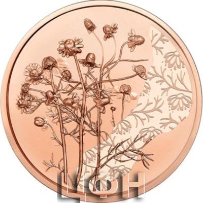 «Copper Coin THE CHAMOMILE UNCIRCULATED ».jpg