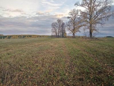 IMG_20230929_165343.jpg