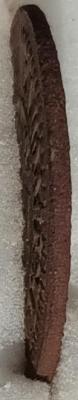 20230929_122103.jpg