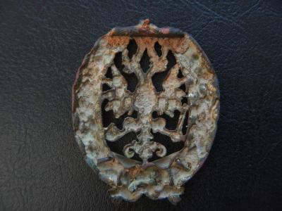 DSCN9727.JPG