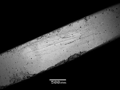 white_KaiYuan_sem0.jpg