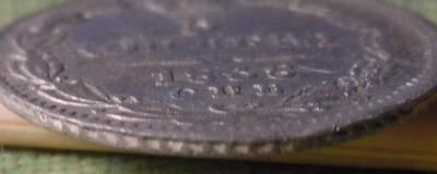 DSCN7137.JPG