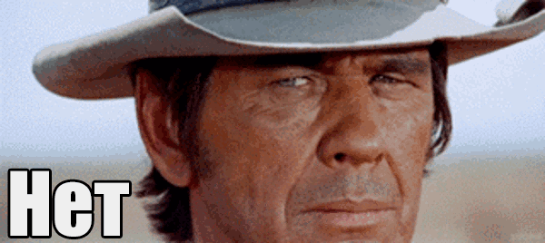 net-22.gif