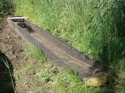 Meshchera_traditional_boat.JPG
