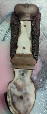 IMG_20231024_201031.jpg