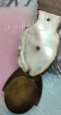 IMG_20231024_201043.jpg