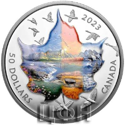 50 Dollars 2023, Transition obverse Four Seasons .jpg