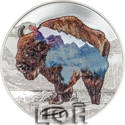 Into the Wild – Bison.jpg