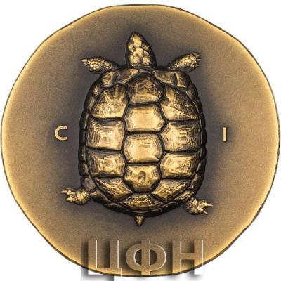 250 DOLLARS COOK ISLANDS 2023 Tortoise Gold.jpg