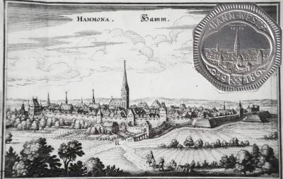 hamm-1647.thumb.jpg.03cee9cf2a074e58c181393a8a61ca99.jpg
