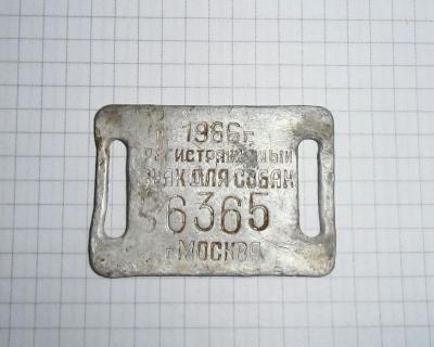 sobachij_zheton.jpg