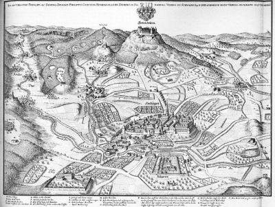 1280px-de_merian_sueviae_132.thumb.jpg.1ec755325e3aa600bc185ab040531c6a.jpg