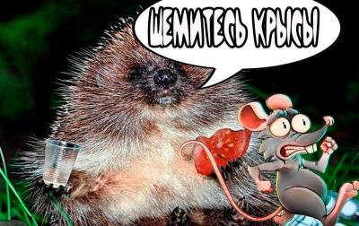 ez1.thumb.jpg.b27a2e80c033f802760420d22bd1140e.jpg