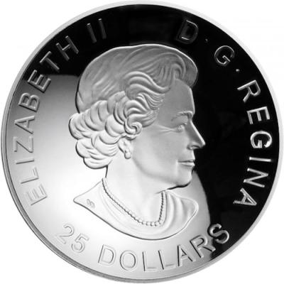 canada-25-dollars-2017_(1).thumb.jpg.28dfe89de4ab27331b899e41d381732b.jpg