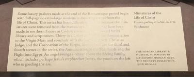 IMG_0103.jpeg