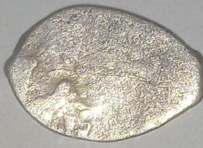 20231212_210006-1-1.jpg