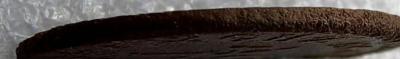 IMG-20240105-WA0053.jpg