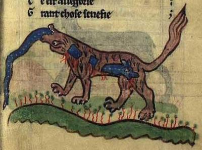 kongeligebibliotek-gl-kgl-3466-8-f-21r-cocodrille.jpg