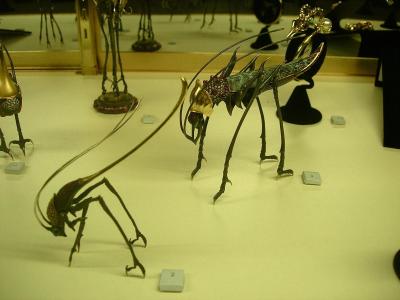 DSCN9855.JPG