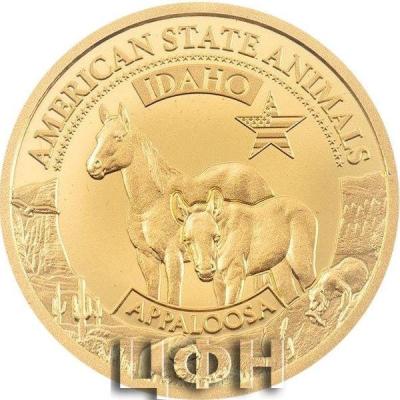 IDAHO APPALOOSA.jpg