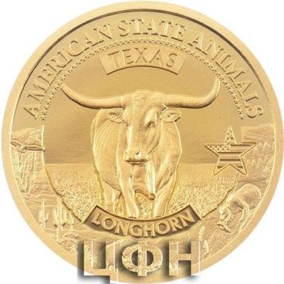 Longhorn.jpg