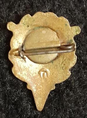 20240224_193440.jpg