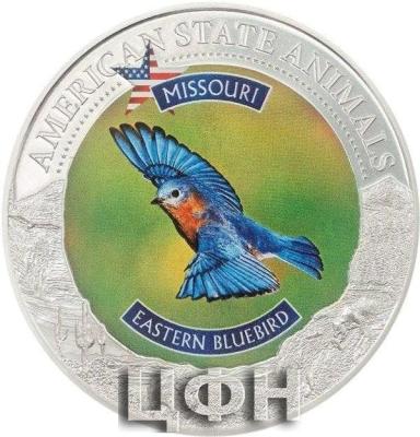 2022 AMERICAN STATE ANIMALS - MISSOURI.jpg