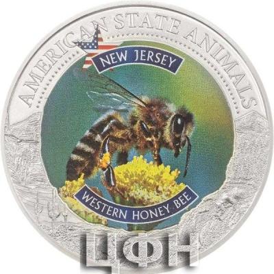 2022 AMERICAN STATE ANIMALS - NEW JERSEY.jpg